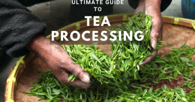 Ultimate Guide to Tea Processing