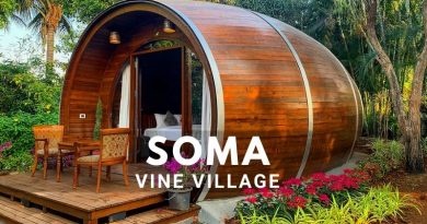 Soma Vineyards and Soma vine village