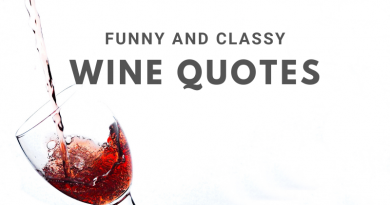 Funny and classy wine quotes