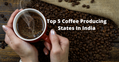 Top 5 Coffee Producing States In India