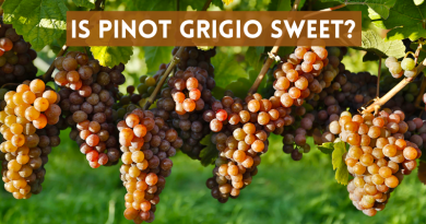 Is Pinot Grigio Sweet?