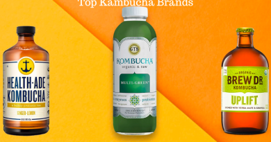 Top Kambucha Brands