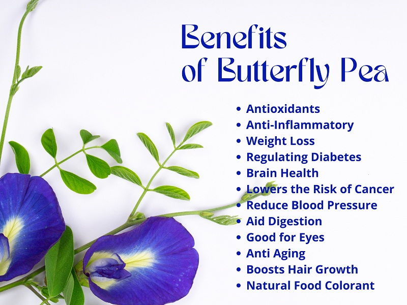Health Benefits of Butterfly Pea Tea